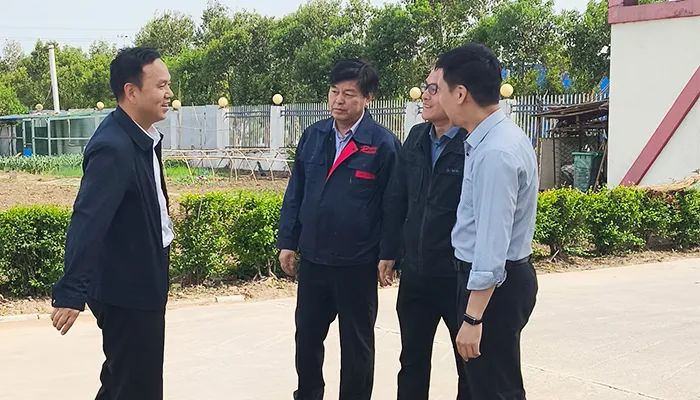 各領導深入瑞朗達調研指導，共謀新材料產業發展新篇章